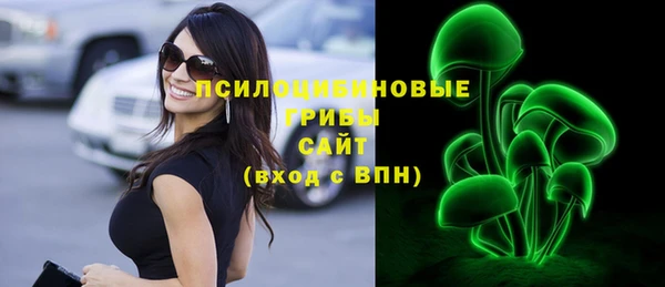 первитин Заводоуковск