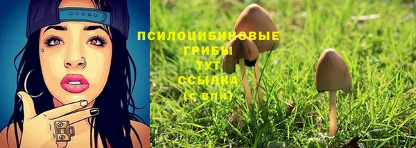 гидра Заволжье