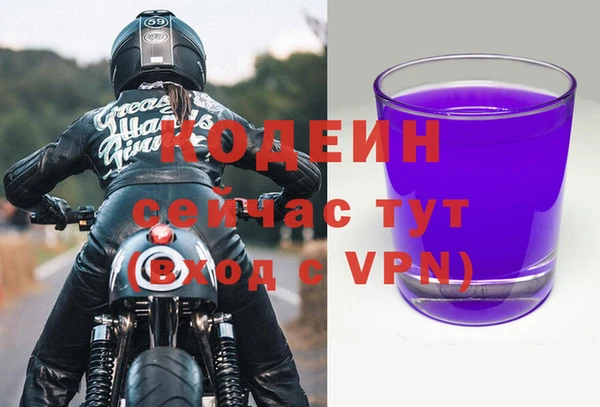 первитин Заводоуковск