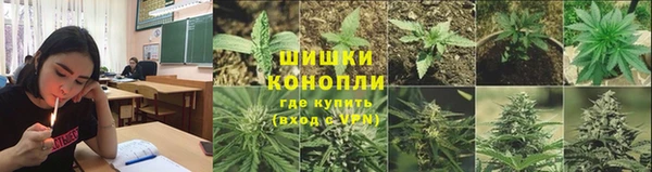гидра Заволжье